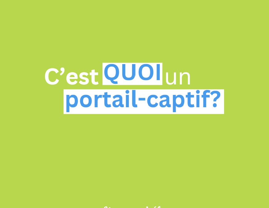Qu’est-ce qu’un portail captif ?